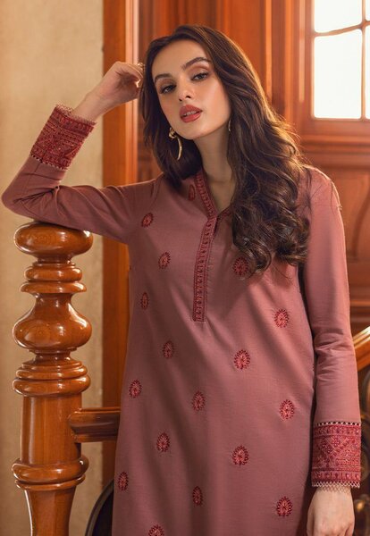 2 pcs women's unstitched Embroidered suit