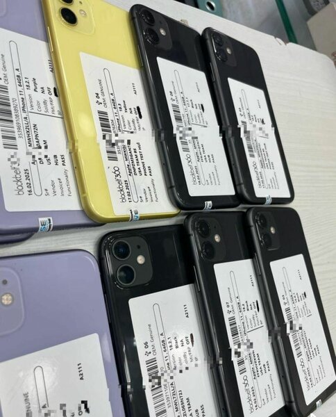 iPhone 11 de qualité