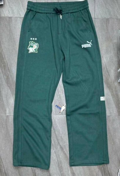 Pantalons de sport Puma