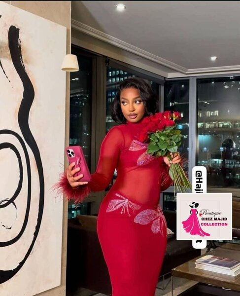 Robe élégante en mesh rouge