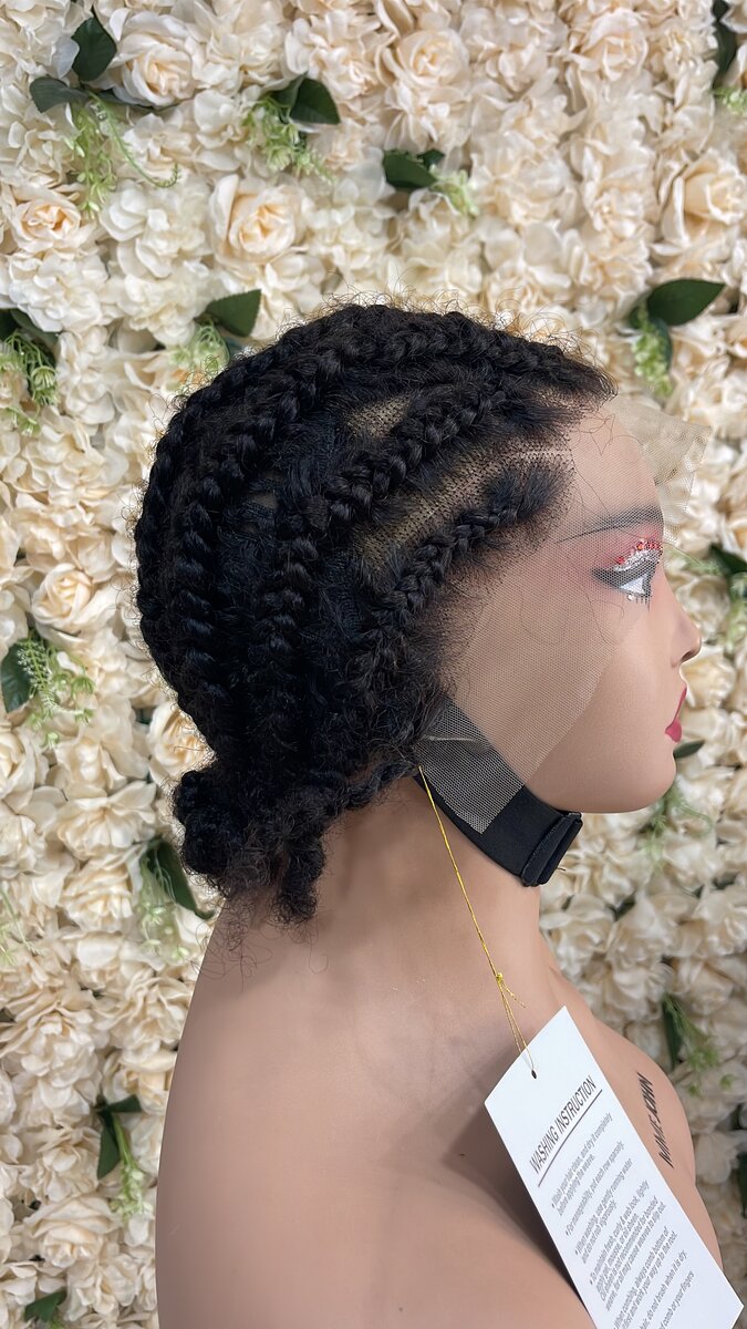 Lace Front Braided Wig