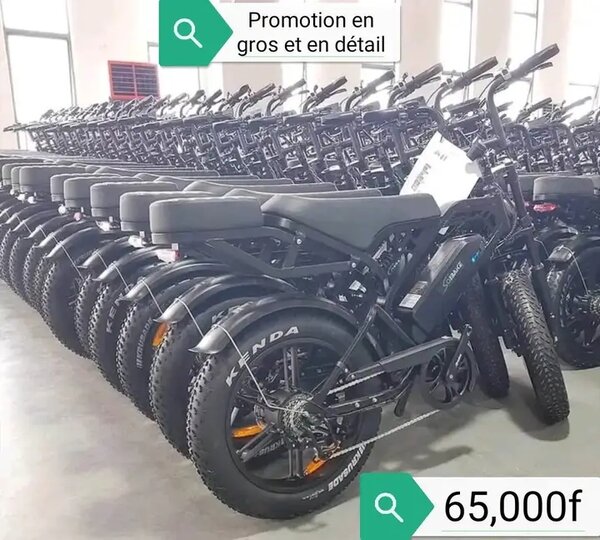 Vélos électriques tout-terrain