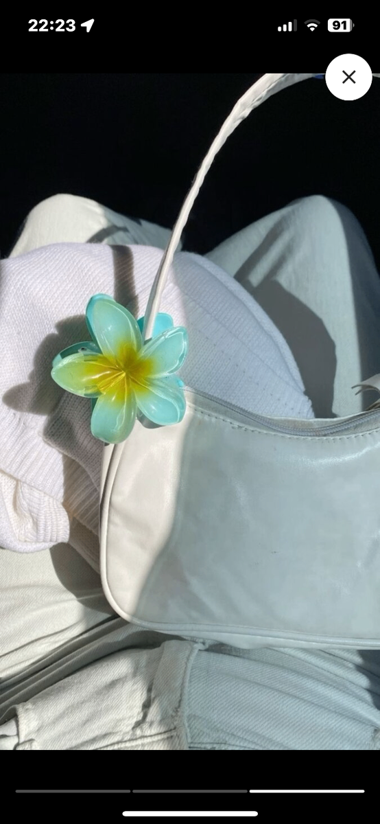 Pince a cheveux décoratrice