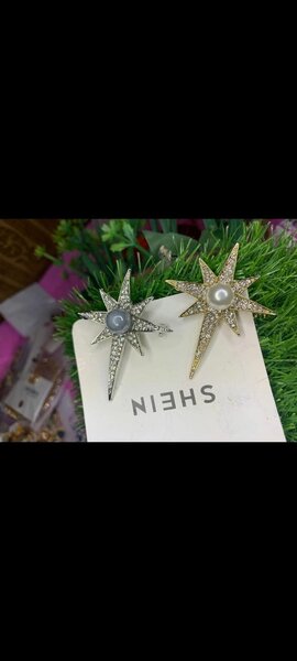 Ladies earrings
