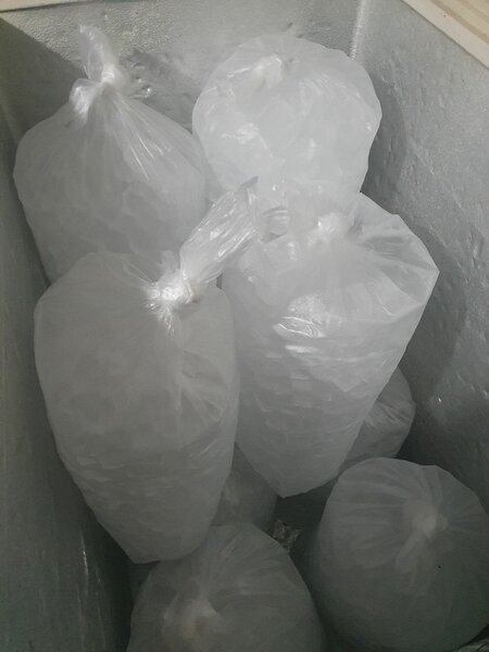 Glace en sacs réfrigérés