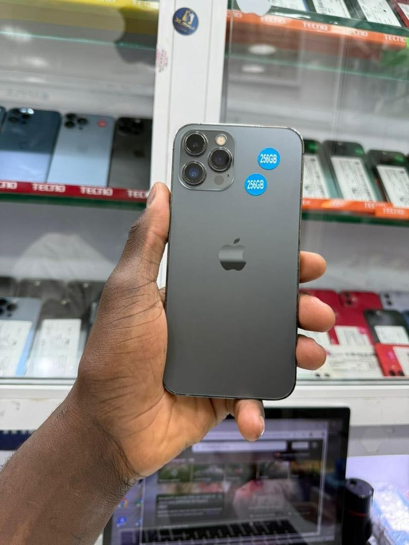 12 pro max 256 Go sans message