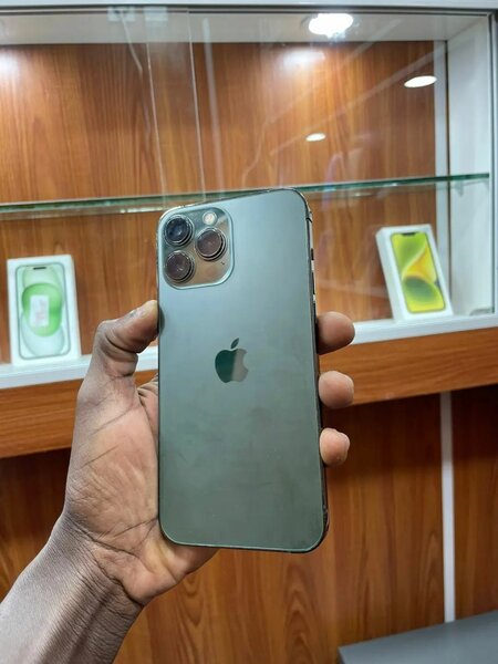 iPhone 13 Pro Max Vert Élégant