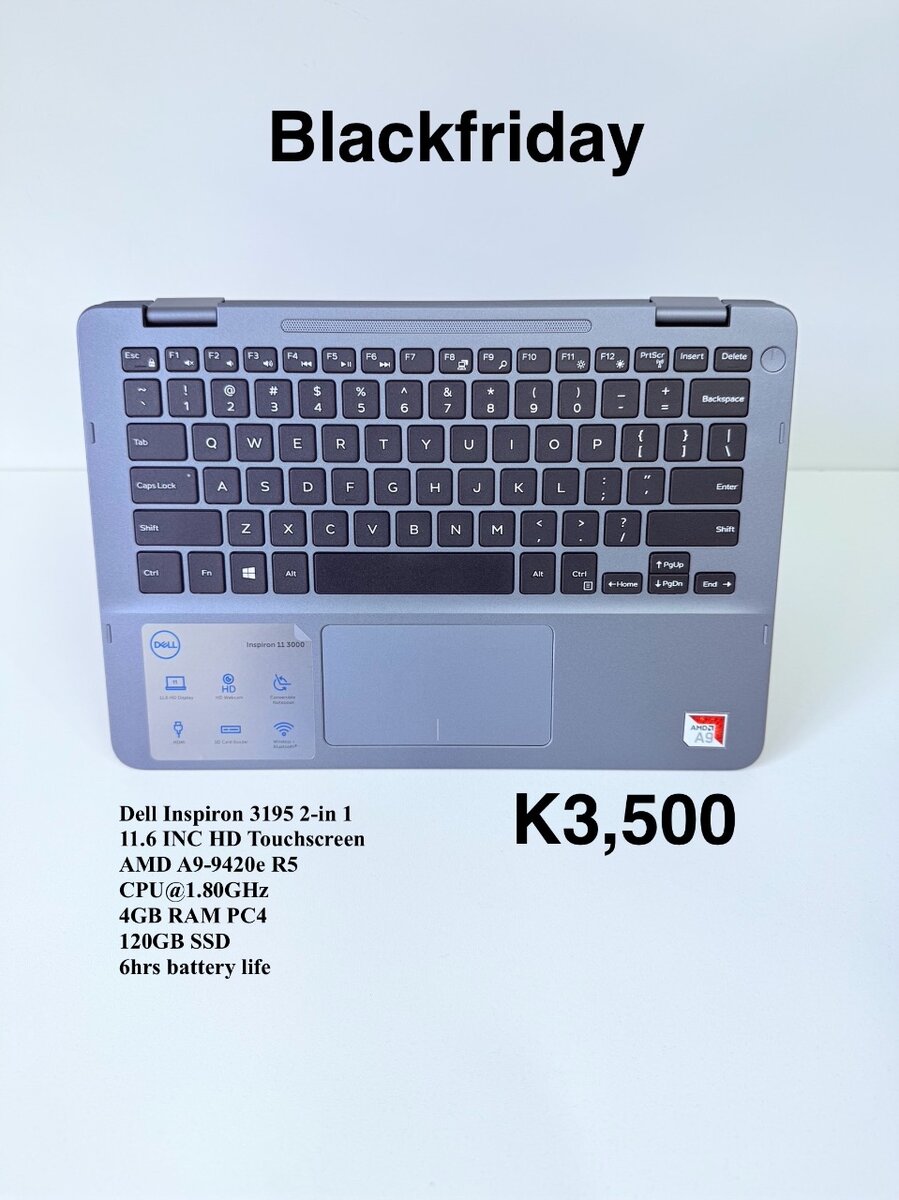 Dell Inspiron 3195 2-in 1