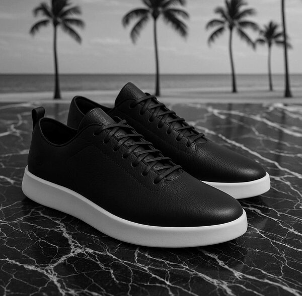 Magnifique chaussures hommes