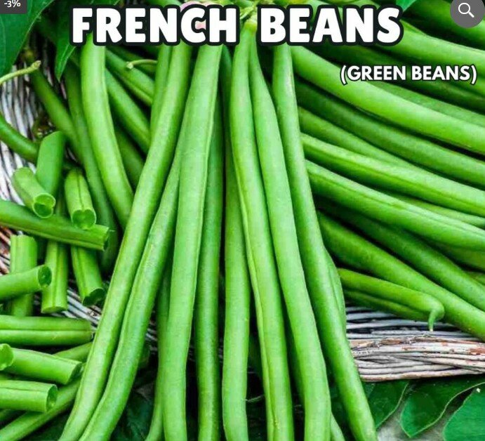 French Beans Seeds (imported) (Green Beans)