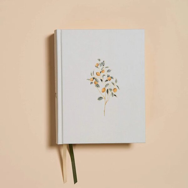 CSB HOSANNA NOTETAKING BIBLE