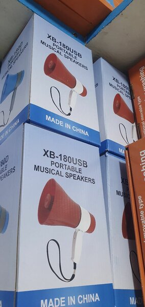 Mini megaphone