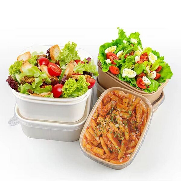 10 Boîtes Repas Écologiques