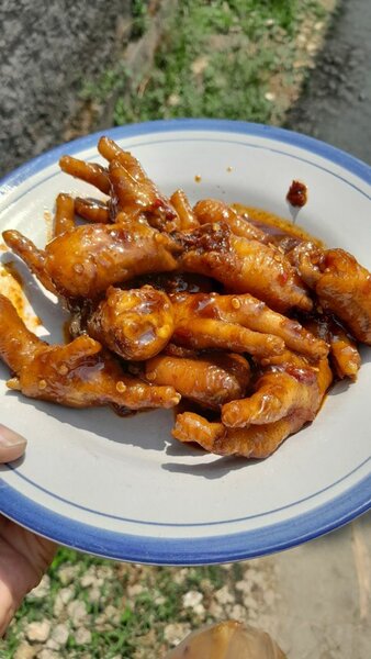 Alloco+2 pattes de poulet