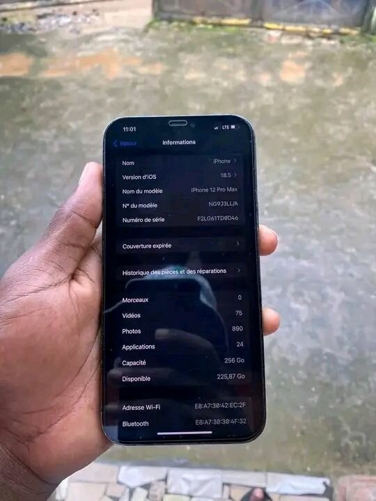 iPhone 12 Pro Max 256GB