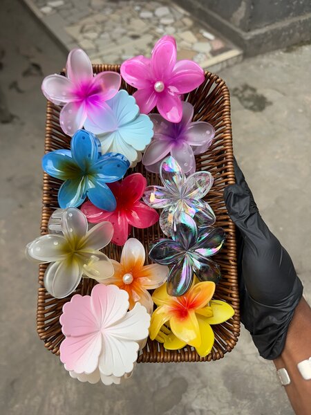 Pinces à cheveux fleurs colorées