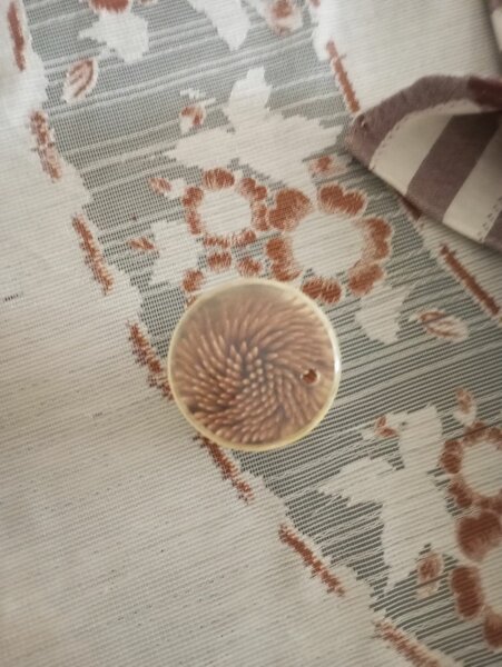 Bouton décoratif vintage