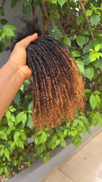 Dreadlocks sisterlocks