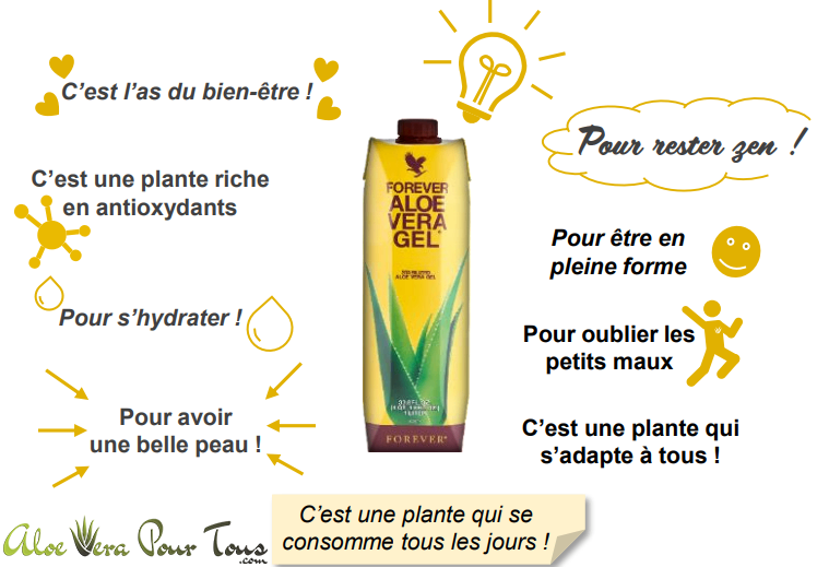 Pulpe d'Aloé Vera 330 ml