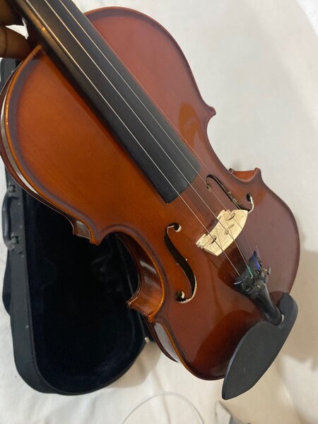 Violon acoustique avec étui
