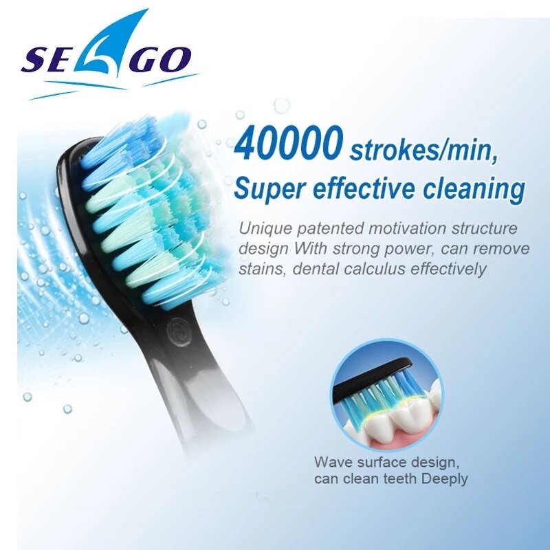 Brosse à dents électrique sonique SG-507 pour adultes, soins
