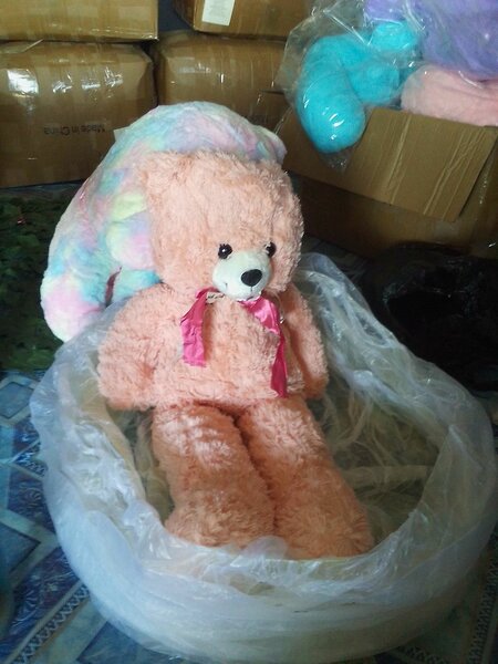 Peluche Ours Arc-en-ciel Doux