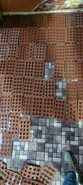 Chocolate, Lollypop Molds