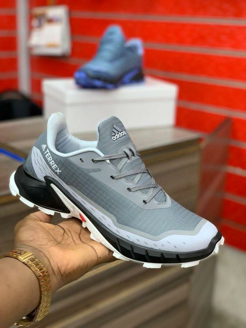 Chaussures de Randonnée Terrex