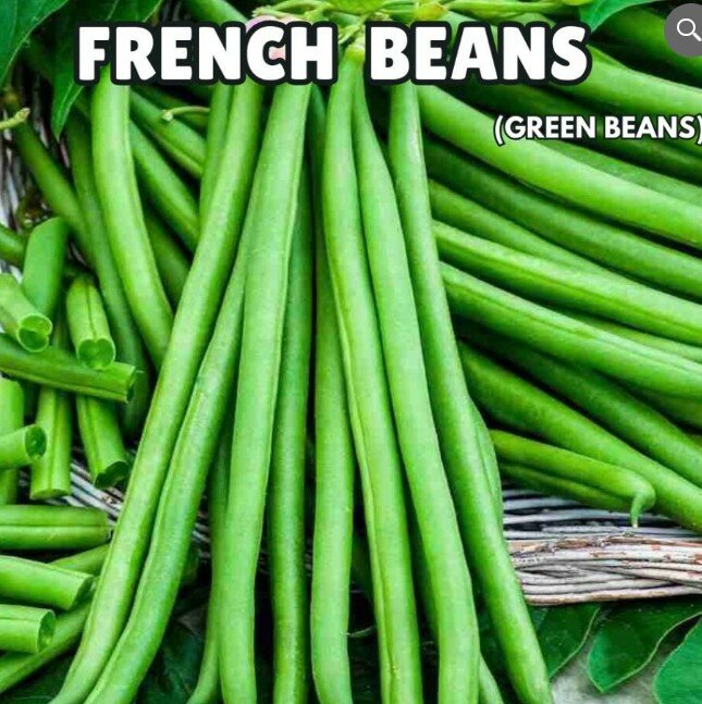 French Beans Seeds/ Green Beans (Imported) – 1 Kg
