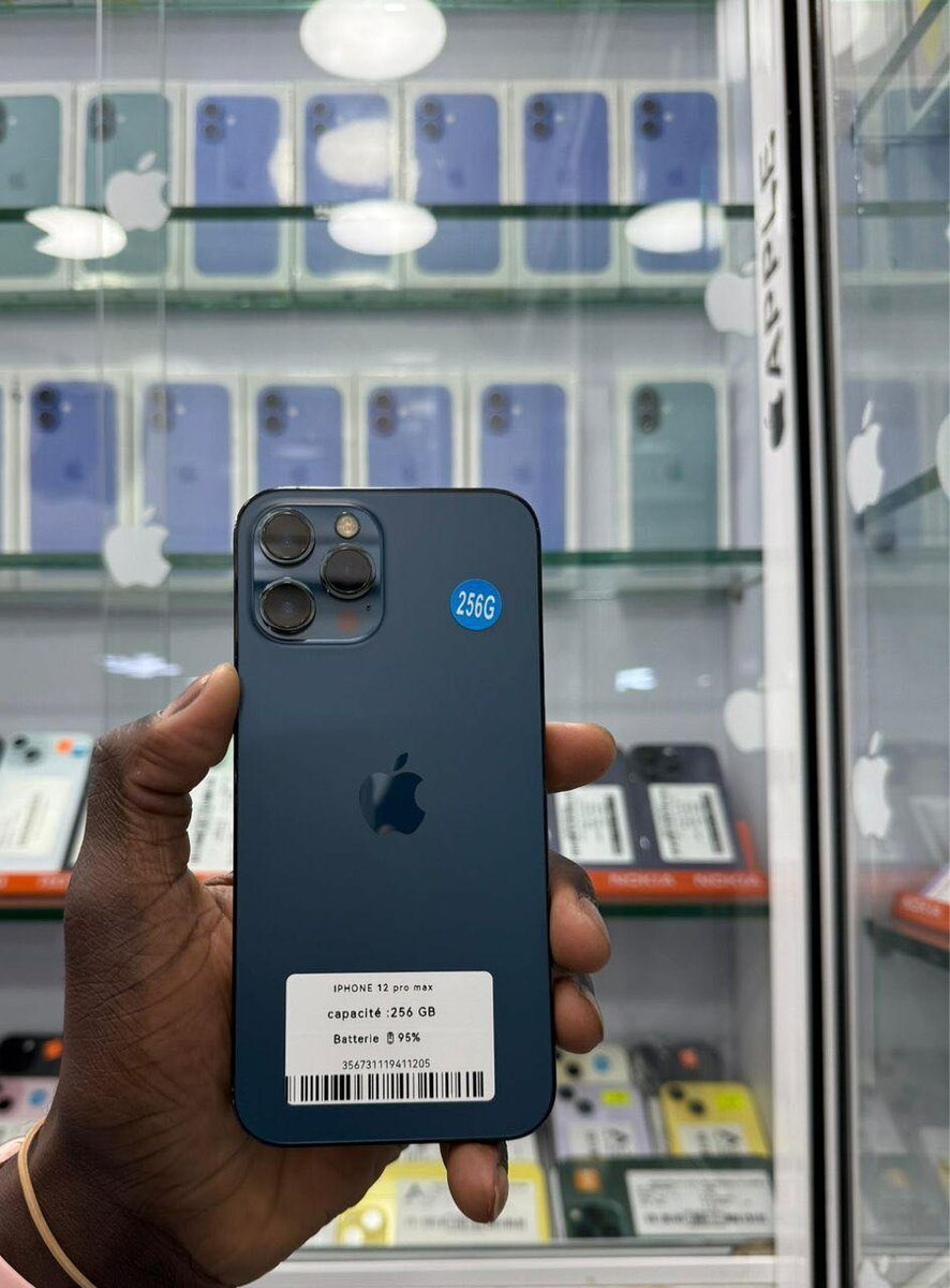 12 pro max 256Go