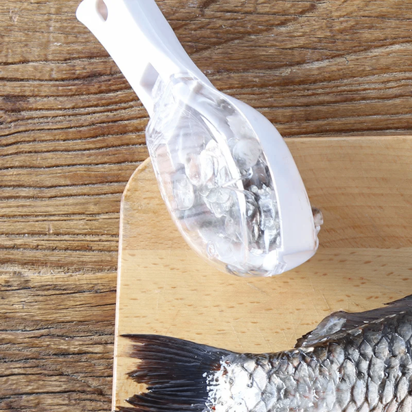 Écailleur de Poissons 2PCS