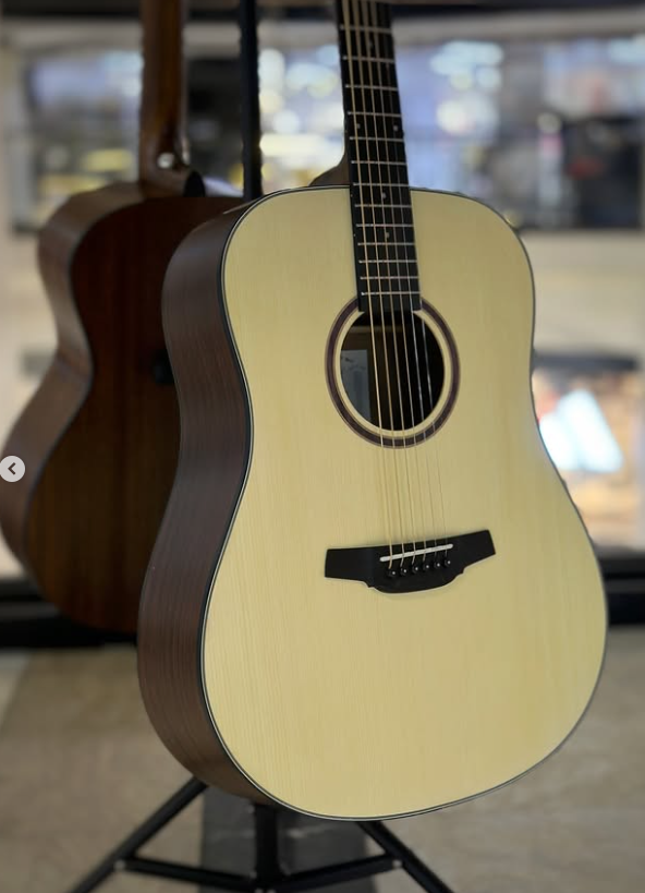 гитара Crafter HD-100