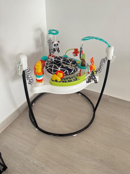 Fisher price jumper
