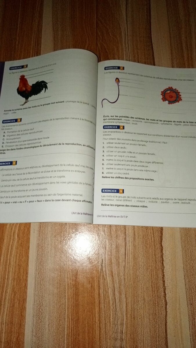 Cahier SVT 6e Maîtrise