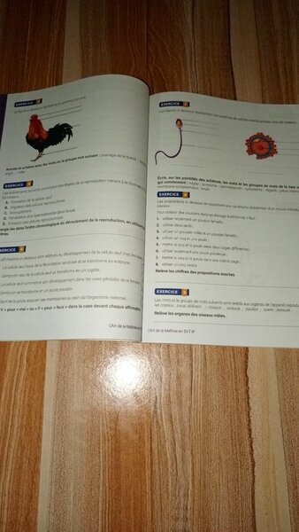 Cahier SVT 6e Maîtrise
