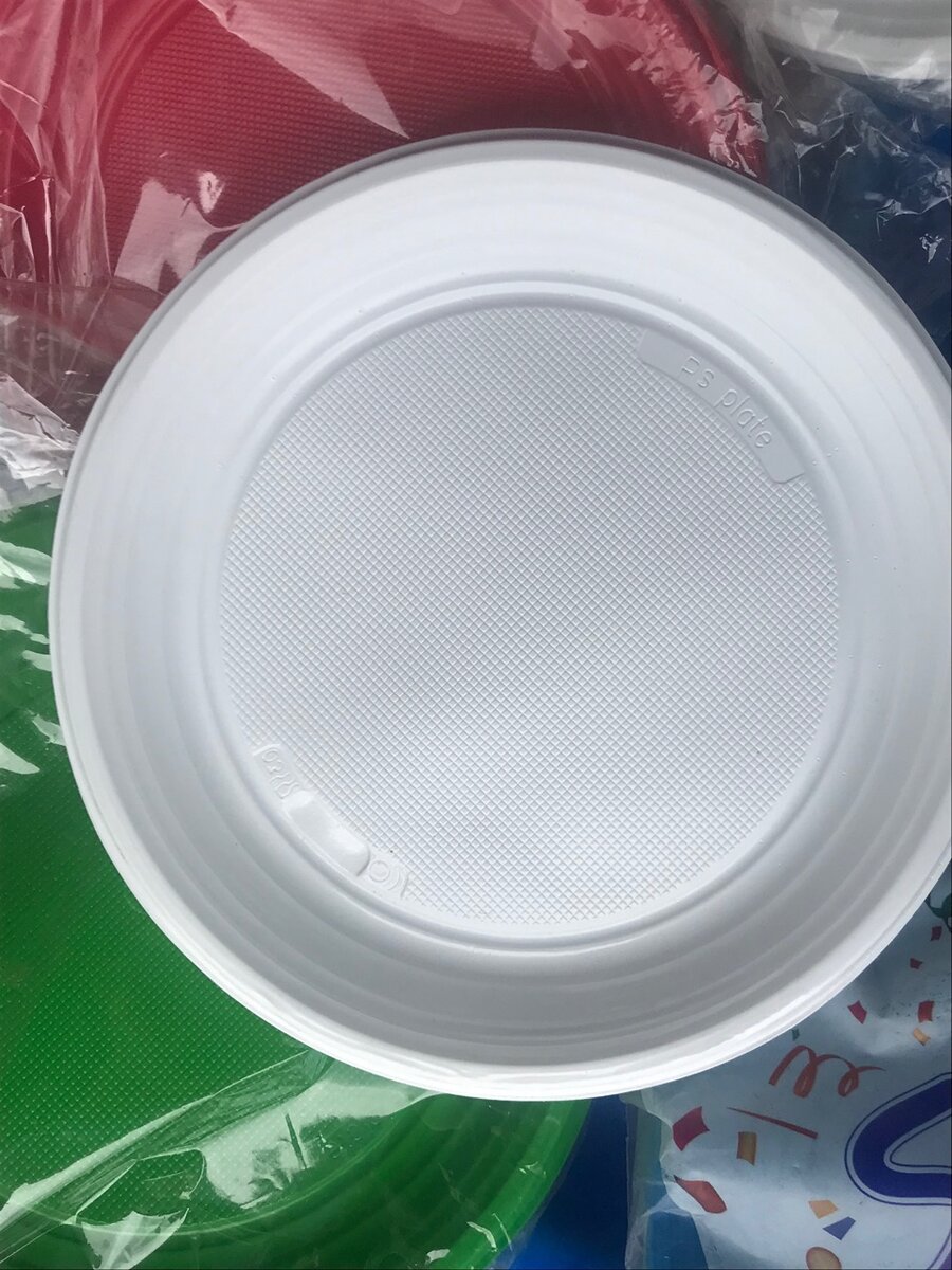 Assiettes en plastique réutilisables