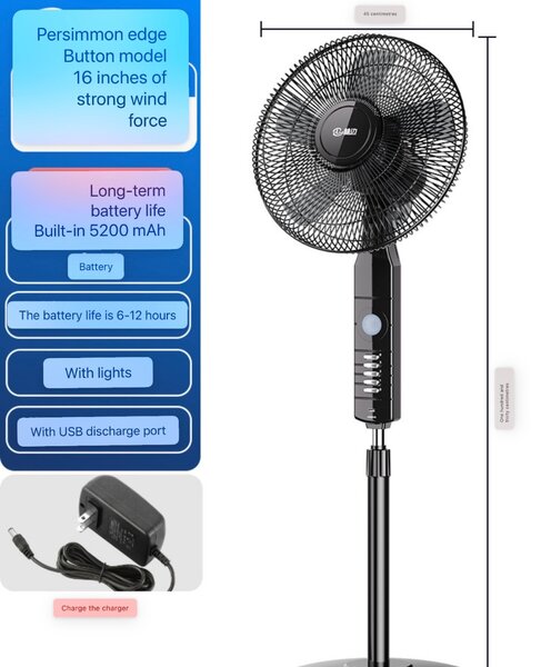 Rechargeable Fan