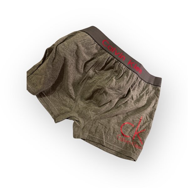 Calvin Klein Mens Briefs