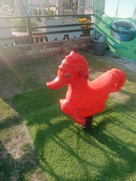Spring animal