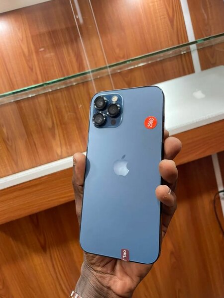 iPhone 12 Pro Max Bleu