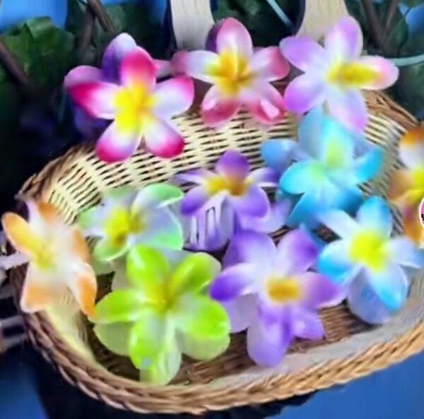 Pinces à cheveux fleurs tropicales