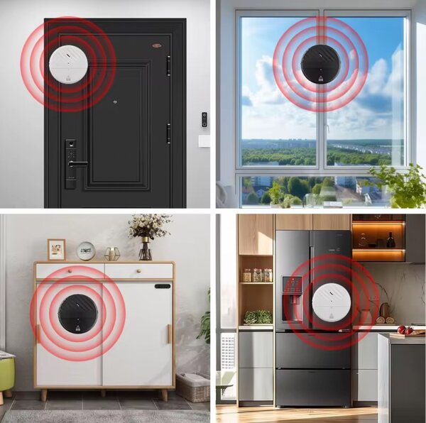 Détecteur de vibration