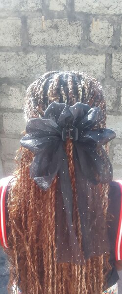 Butterfly hair claws