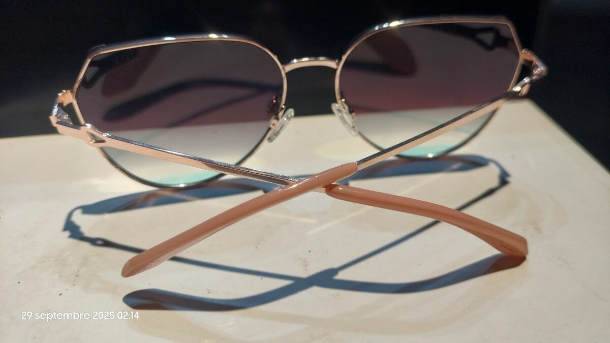 Lunettes de soleil élégantes