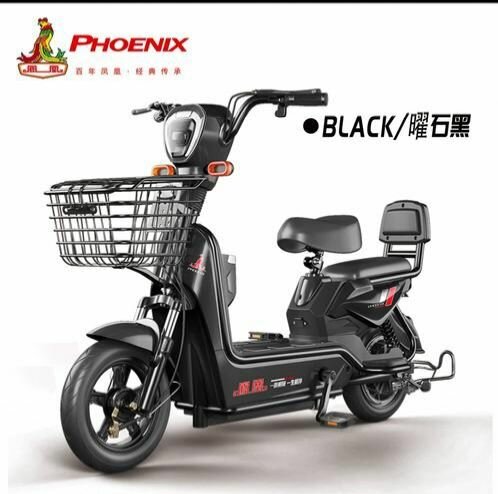 E-BIKE électrique 70km