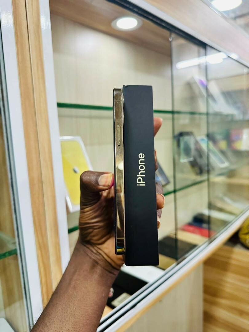 iPhone 12 Pro, 128 giga tout est d’origine 