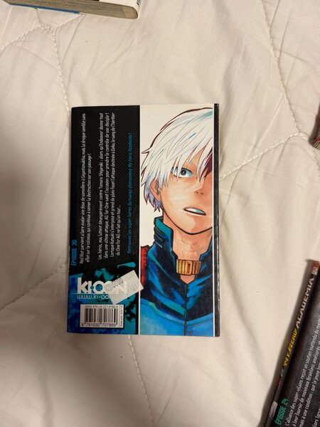 Manga My Hero Academia 30