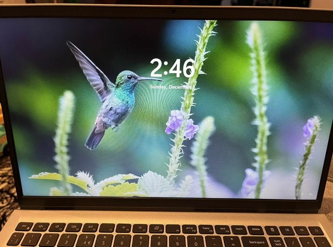 Dell inspiron 15 3000