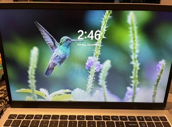 Dell inspiron 15 3000