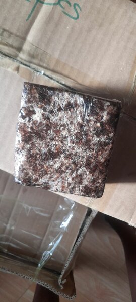 African  Blacksoap (Alatasamina)